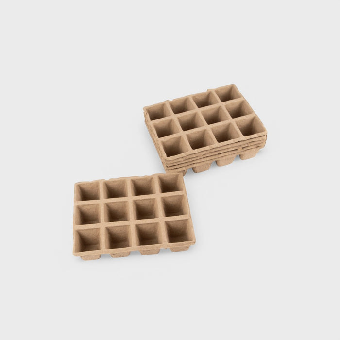 Set 6 Bandejas Biodegradables Brando