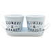 Set 2 Baldes Decorativos Brando